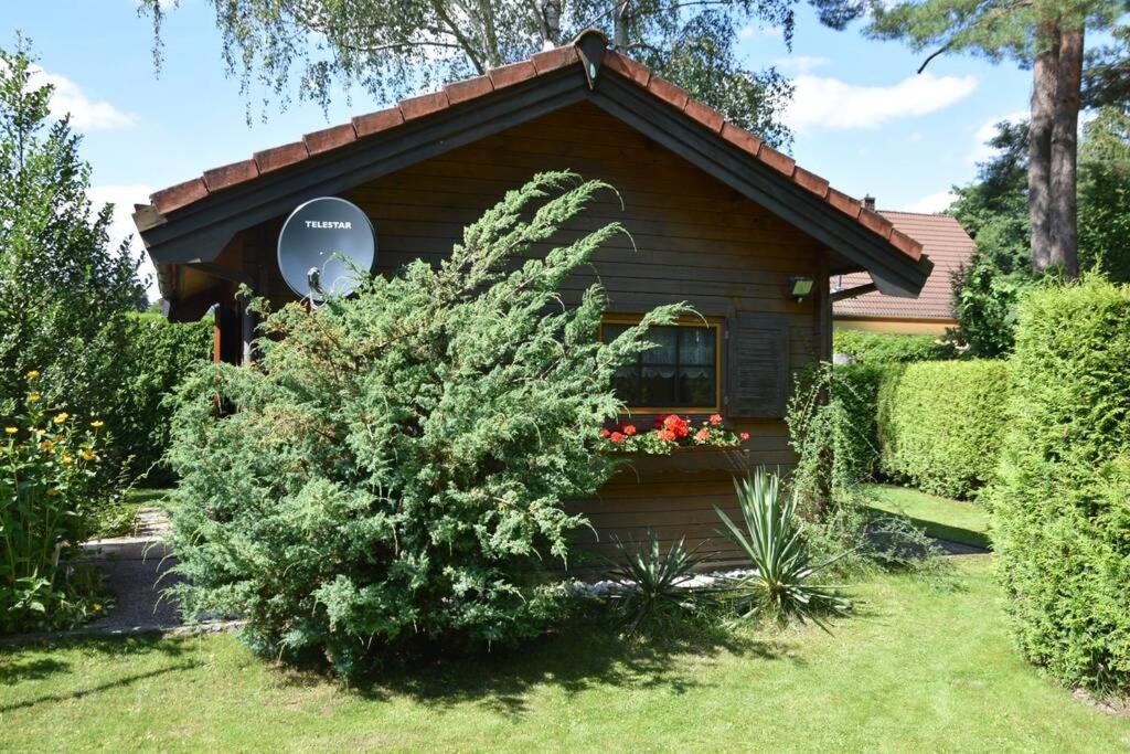 Gemuetliches Blockhaus, Waldblick, Naehe Ber/sxf Casa vacanze